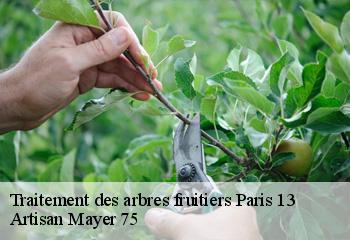 Traitement des arbres fruitiers  paris-13-75013 Artisan Mayer 75